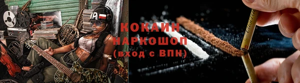 дживик Козельск