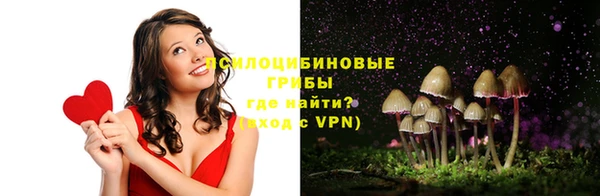 2c-b Кодинск