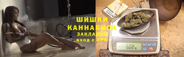 дживик Козельск