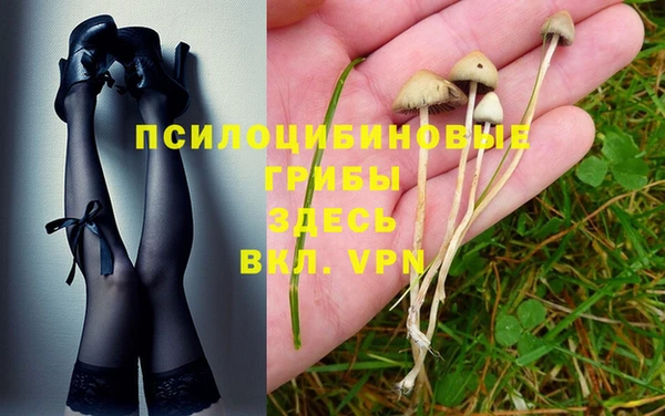 эйфоретик Козловка