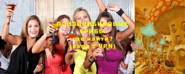 дживик Козельск