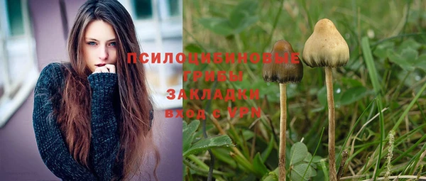 дживик Козельск