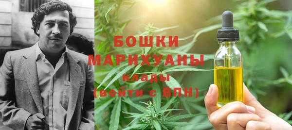 дживик Козельск